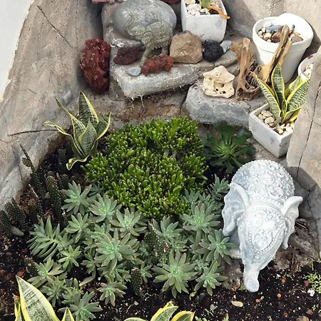 Sunset Ocean View With Patio A By-tenerife365 Будинок відпочинку Адехе