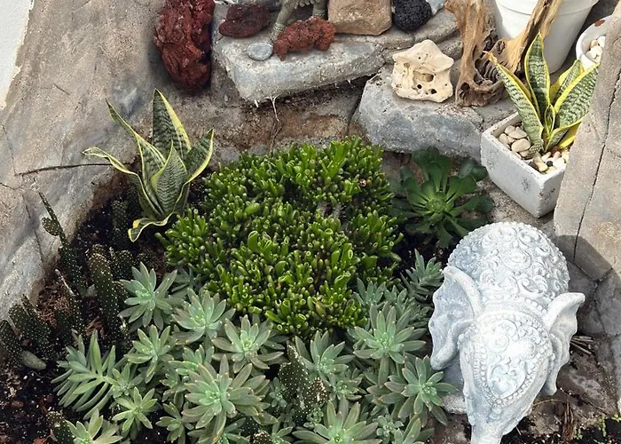 Sunset Ocean View With Patio A By-tenerife365 Будинок відпочинку Адехе